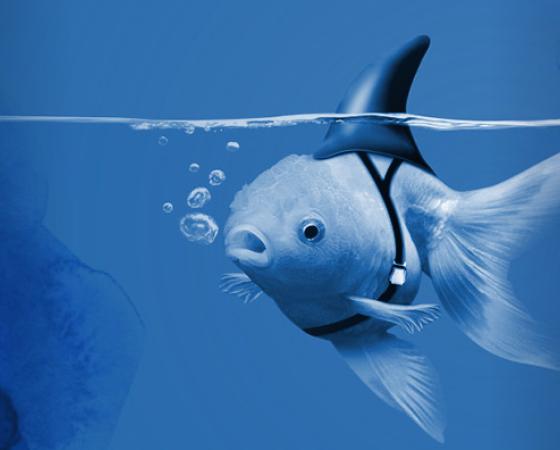 Tackling Imposter Syndrome