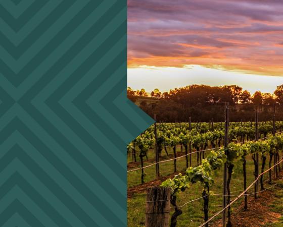 Central West Practitioner Dinner
